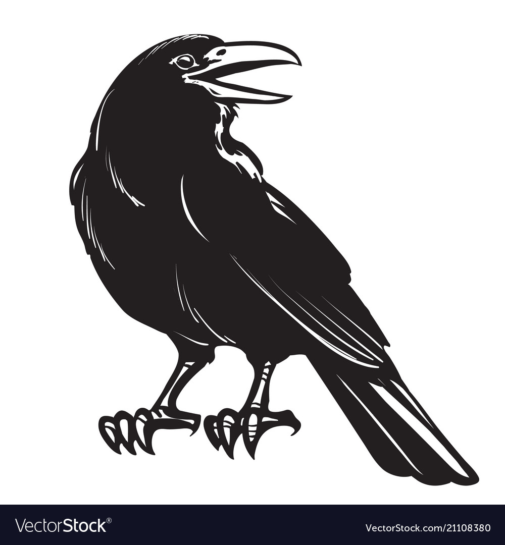 Detail Black Crow Images Nomer 7