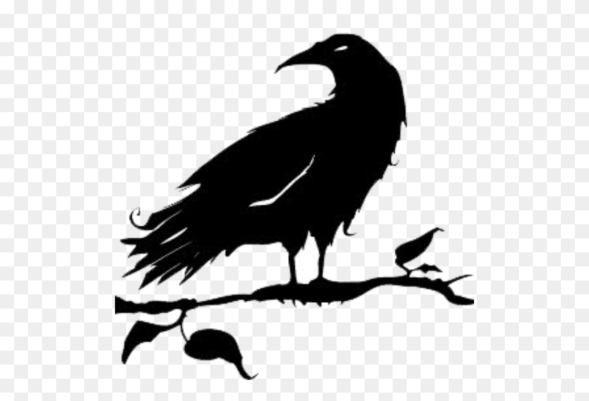 Detail Black Crow Png Nomer 46