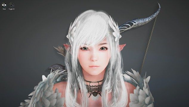 Detail Black Desert Ranger Wallpaper Nomer 13