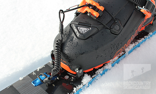 Detail Black Diamond Ski Leash Nomer 16