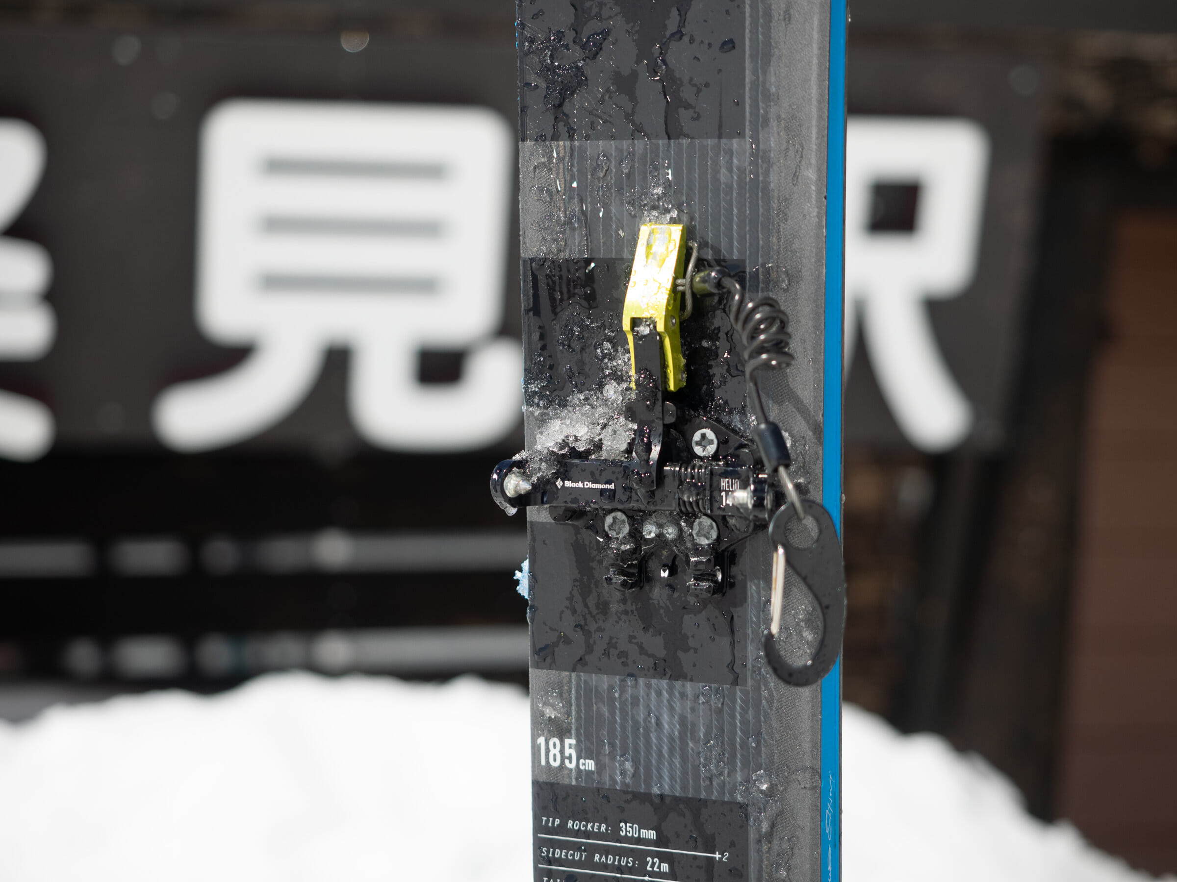 Detail Black Diamond Ski Leash Nomer 23