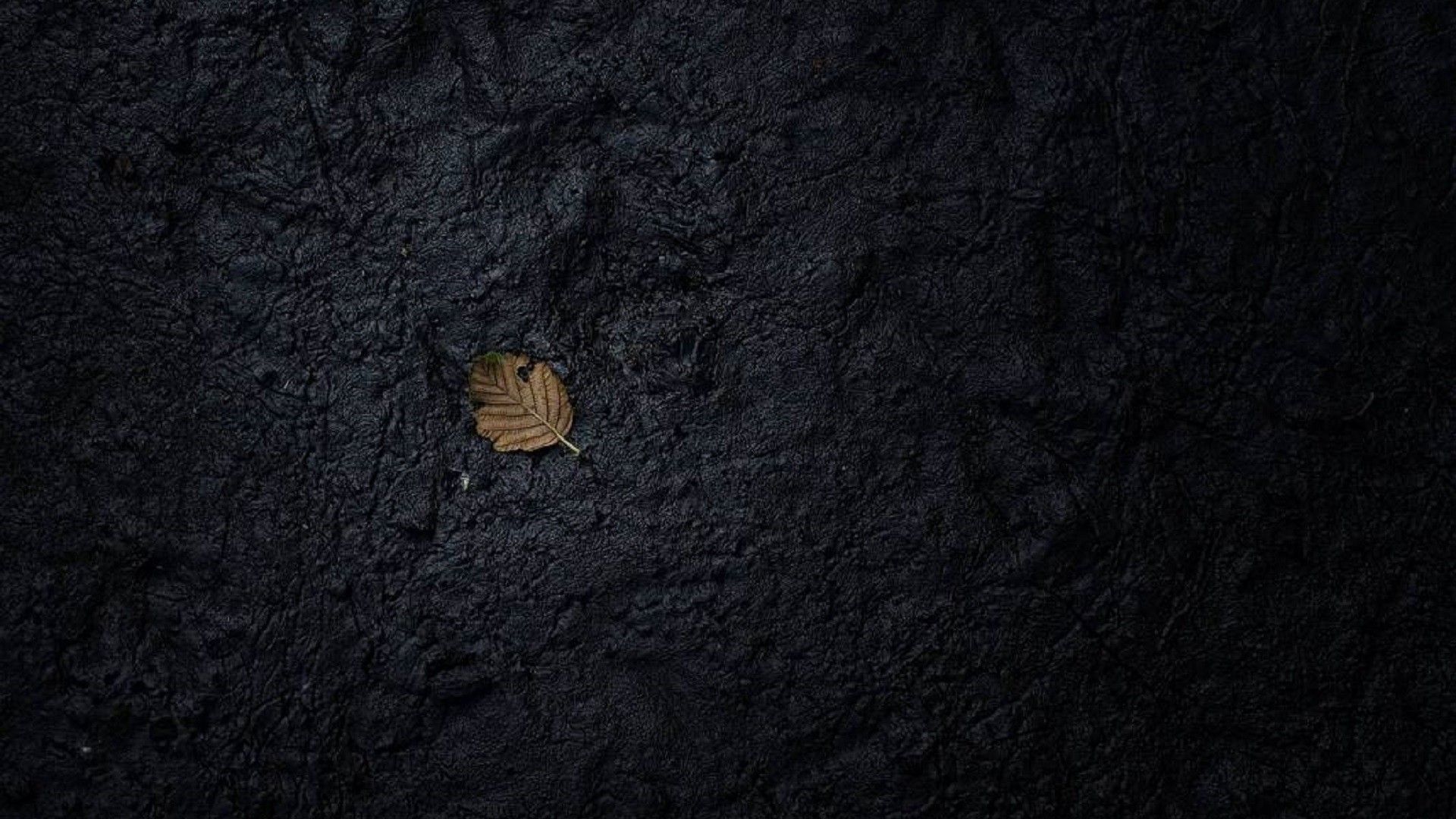 Detail Black Doff Background Nomer 36