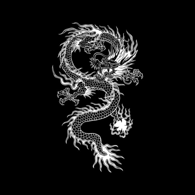 Detail Black Dragon Wallpaper Nomer 39