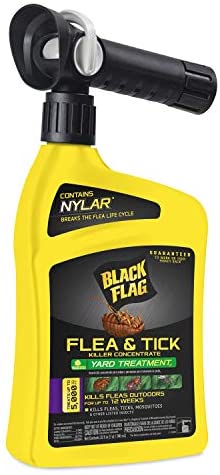 Detail Black Flag Flea Killer Nomer 2