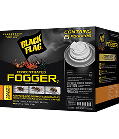 Detail Black Flag Flea Killer Nomer 24