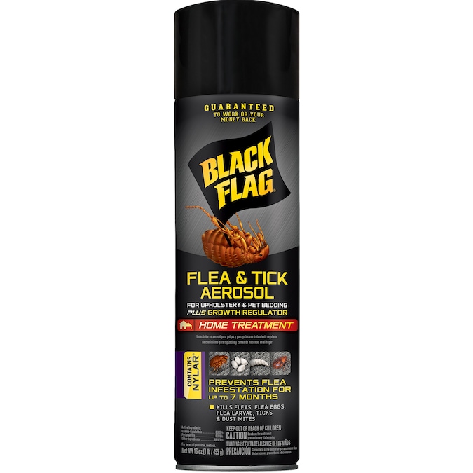 Detail Black Flag Flea Killer Nomer 4