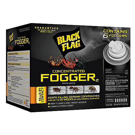 Detail Black Flag Flea Killer Nomer 36