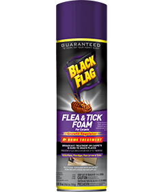Detail Black Flag Flea Killer Nomer 39