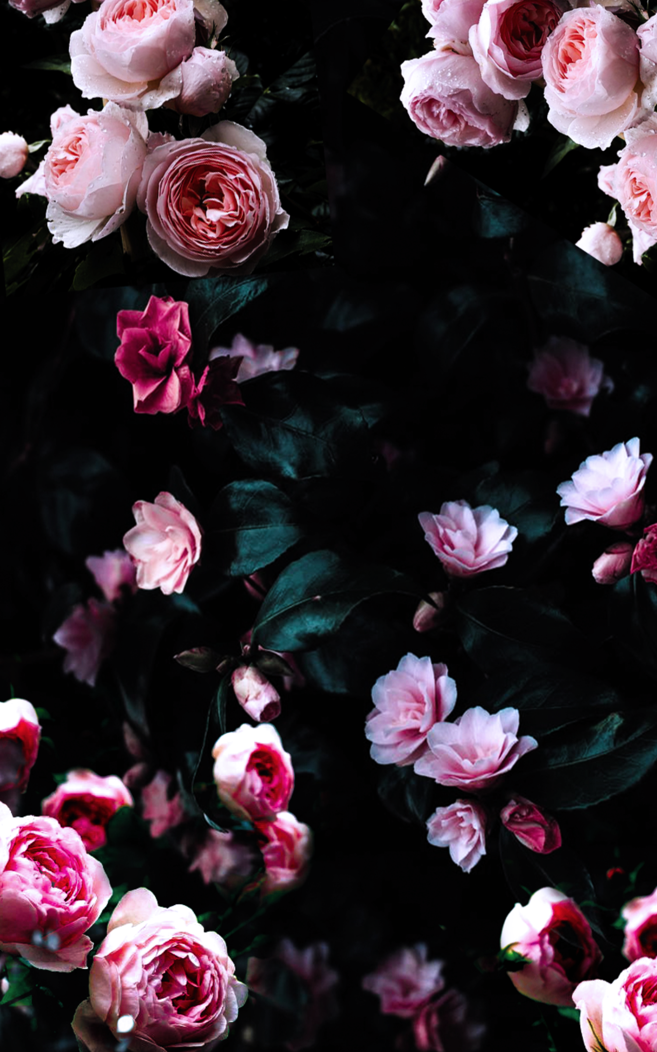 Detail Black Floral Background Nomer 3