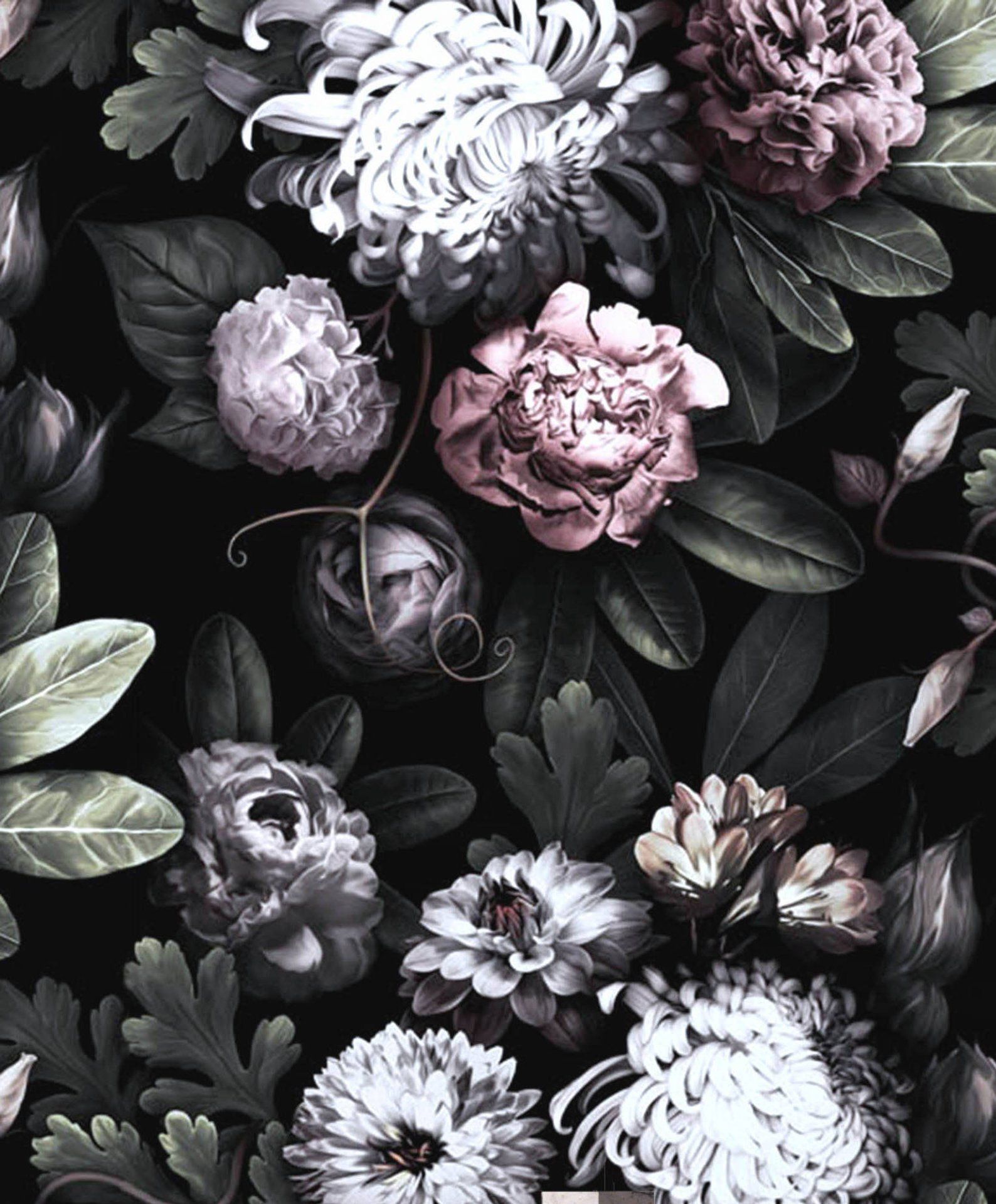 Detail Black Flower Background Nomer 12