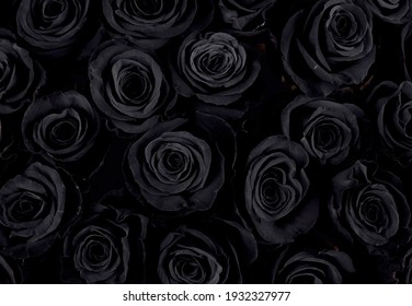 Detail Black Flower Background Nomer 13