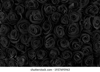 Detail Black Flower Background Nomer 3