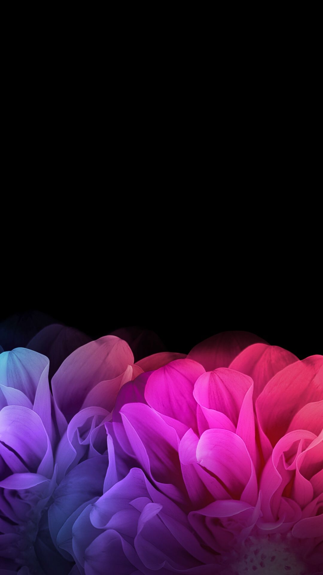 Detail Black Flower Background Nomer 33
