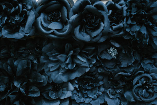Detail Black Flower Background Nomer 39