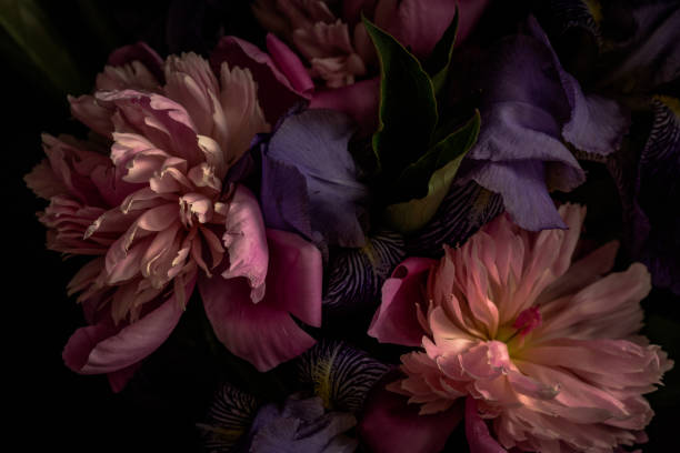 Detail Black Flower Background Nomer 7