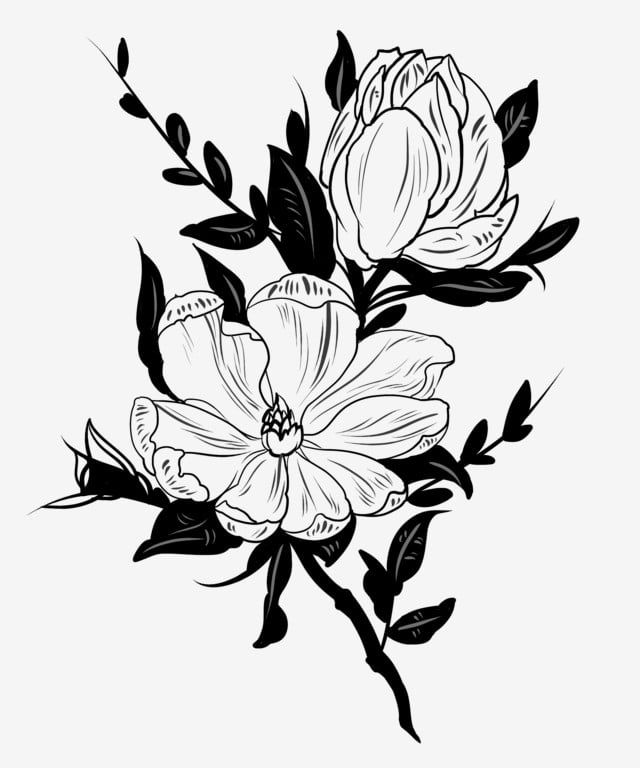 Detail Black Flower Png Nomer 37