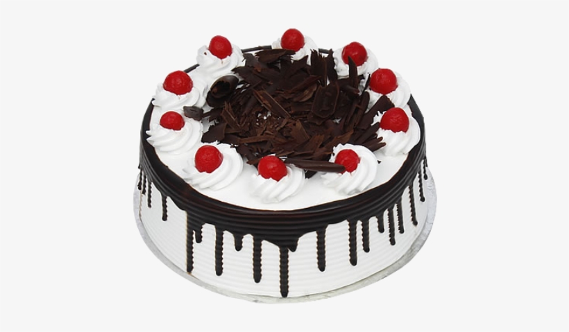 Detail Black Forest Png Nomer 23