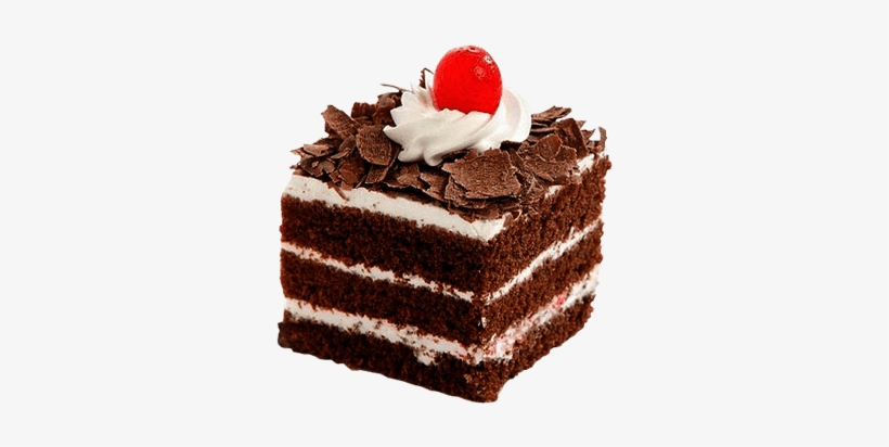 Detail Black Forest Png Nomer 26