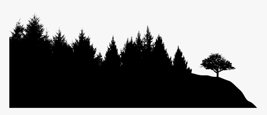 Detail Black Forest Png Nomer 33
