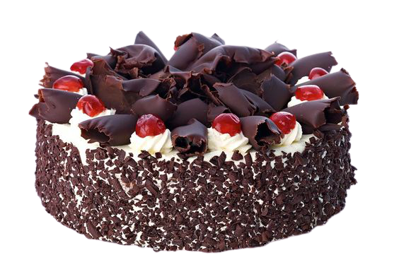 Detail Black Forest Png Nomer 38