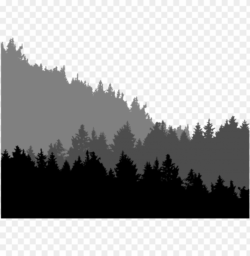 Detail Black Forest Png Nomer 40