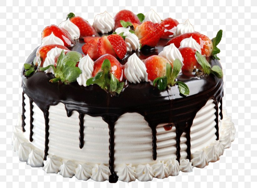 Detail Black Forest Png Nomer 41