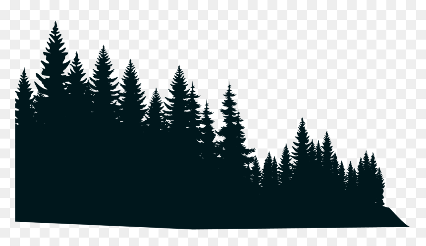 Detail Black Forest Png Nomer 50