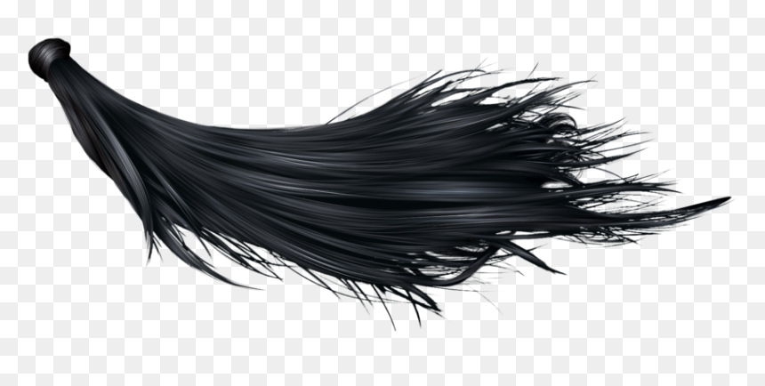 Detail Black Hair Png Nomer 50
