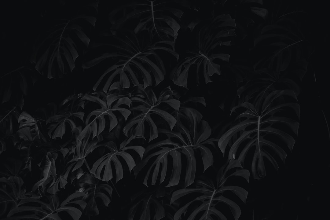 Detail Black Hd Background Nomer 55