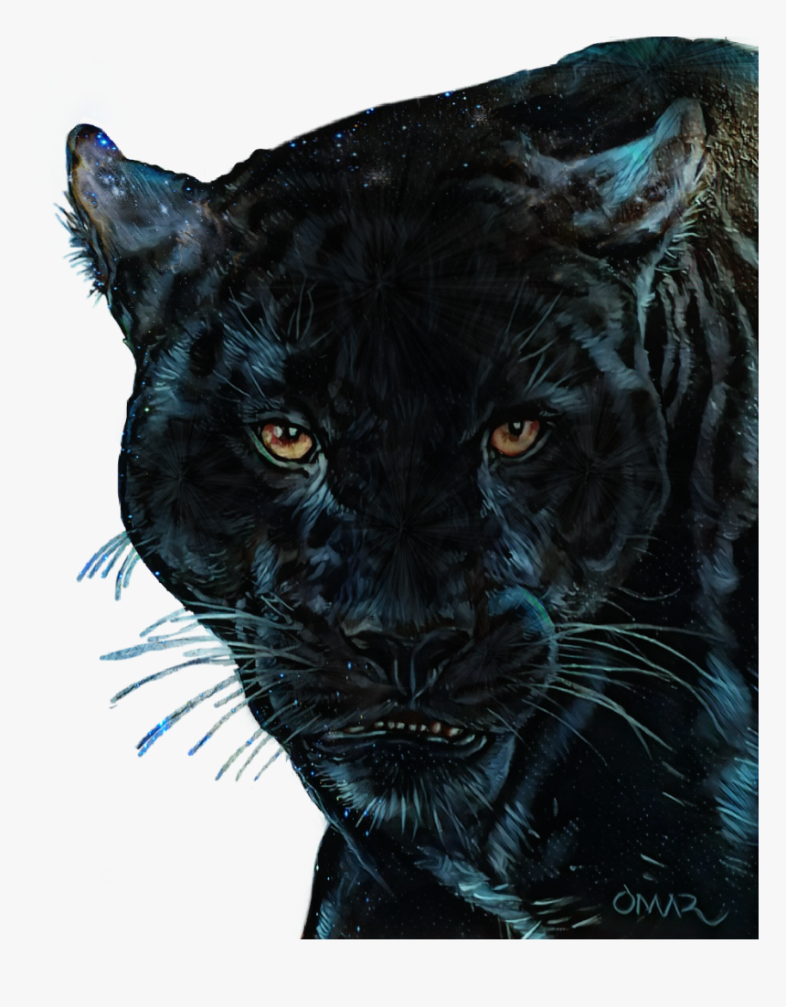 Detail Black Jaguar Png Nomer 3