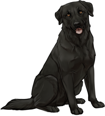 Detail Black Lab Png Nomer 37