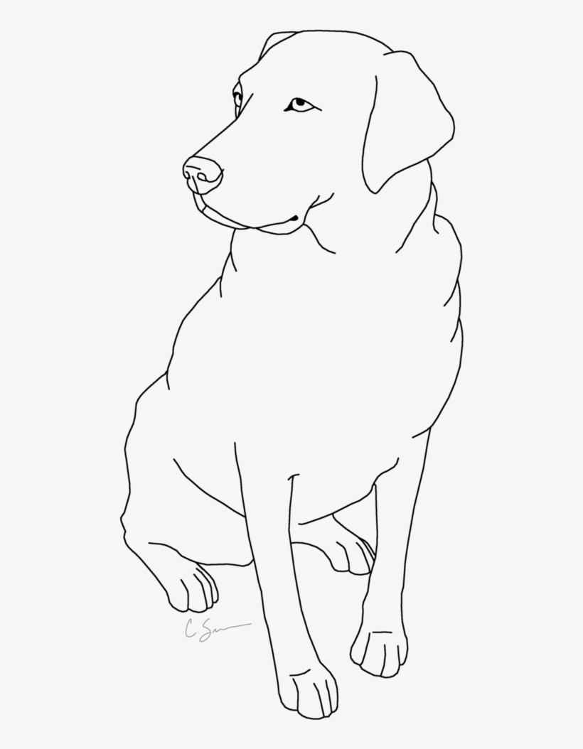 Detail Black Lab Png Nomer 41