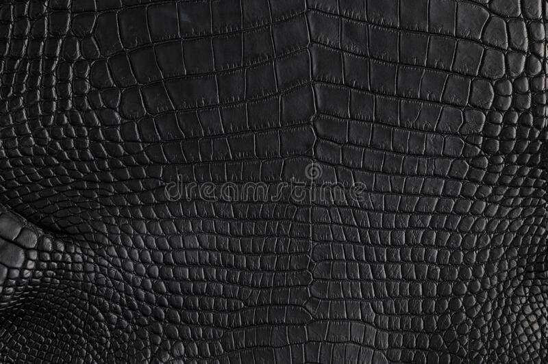 Detail Black Leather Png Nomer 14