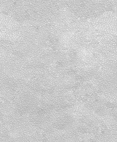Detail Black Leather Png Nomer 30