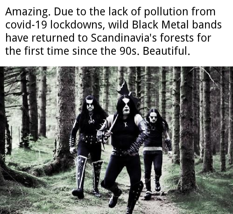 Detail Black Metal Meme Nomer 2