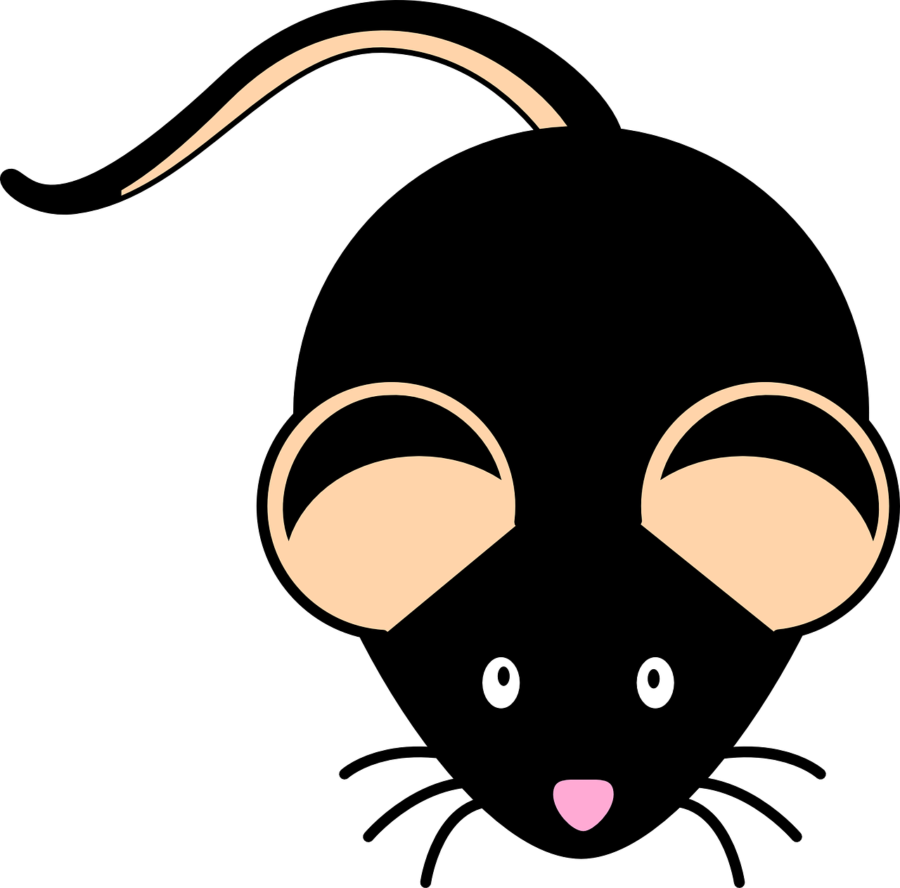 Detail Black Mouse Png Nomer 25