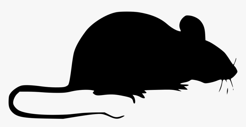Detail Black Mouse Png Nomer 47