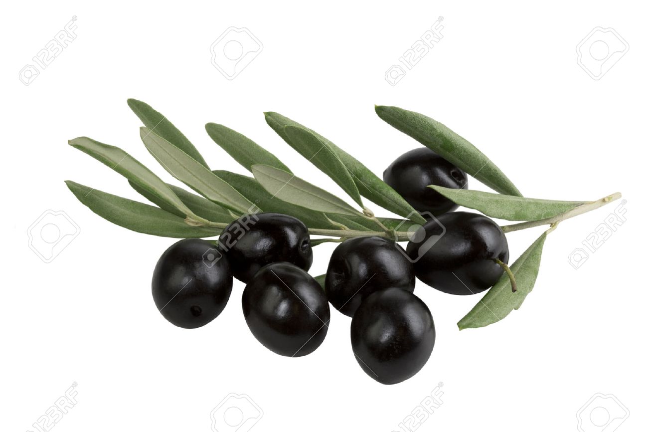 Detail Black Olives Images Nomer 15