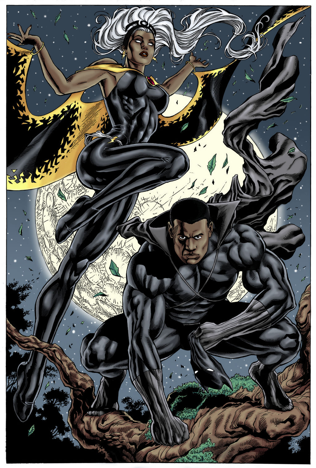 Detail Black Panther And Storm Nomer 40