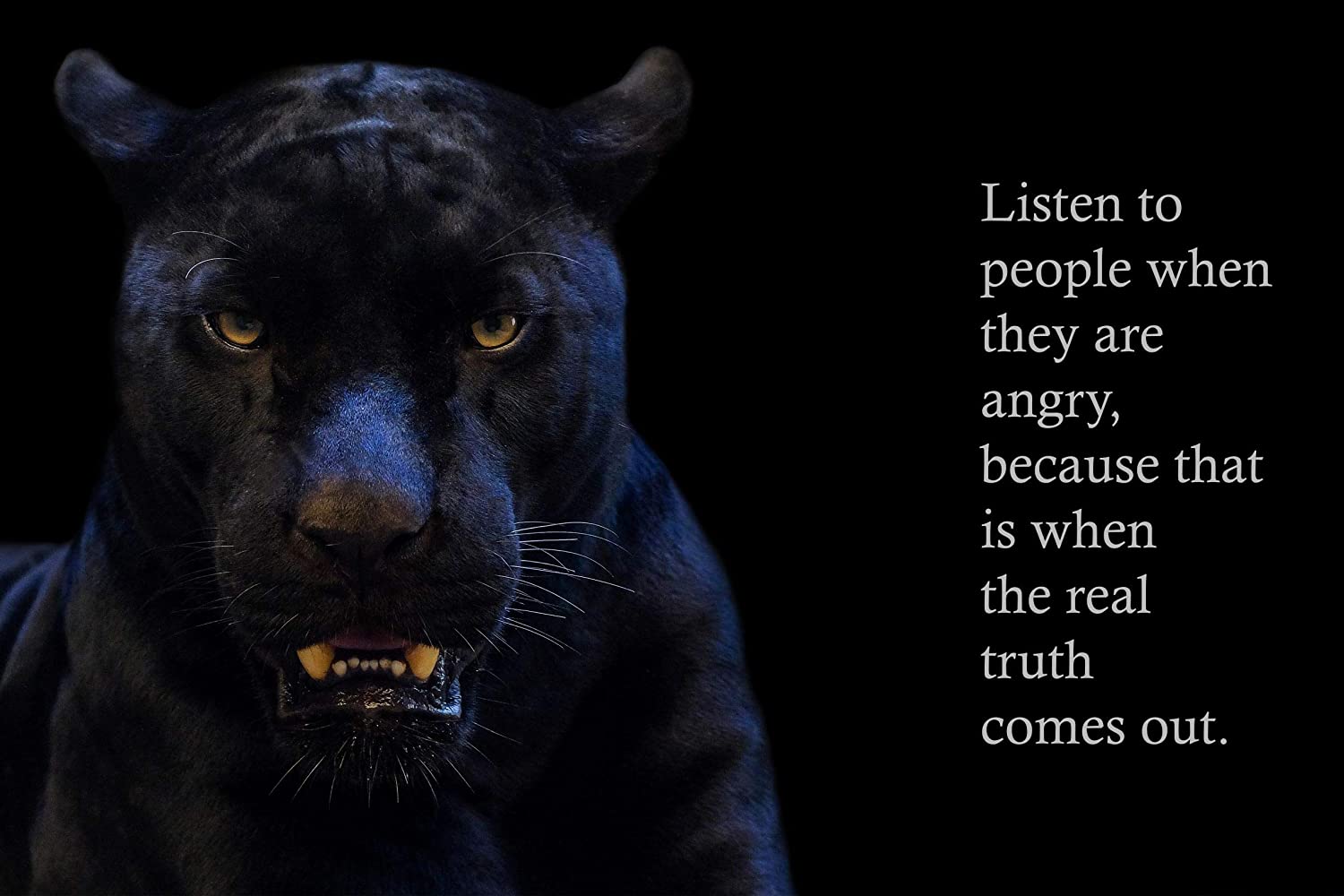 Detail Black Panther Quotes Nomer 17
