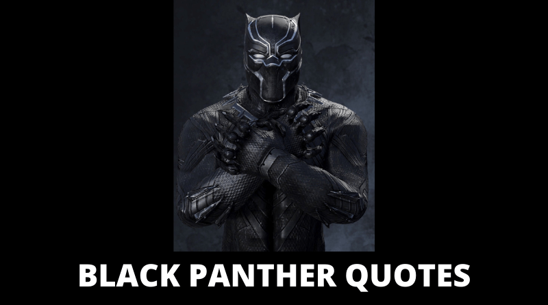 Detail Black Panther Quotes Nomer 57