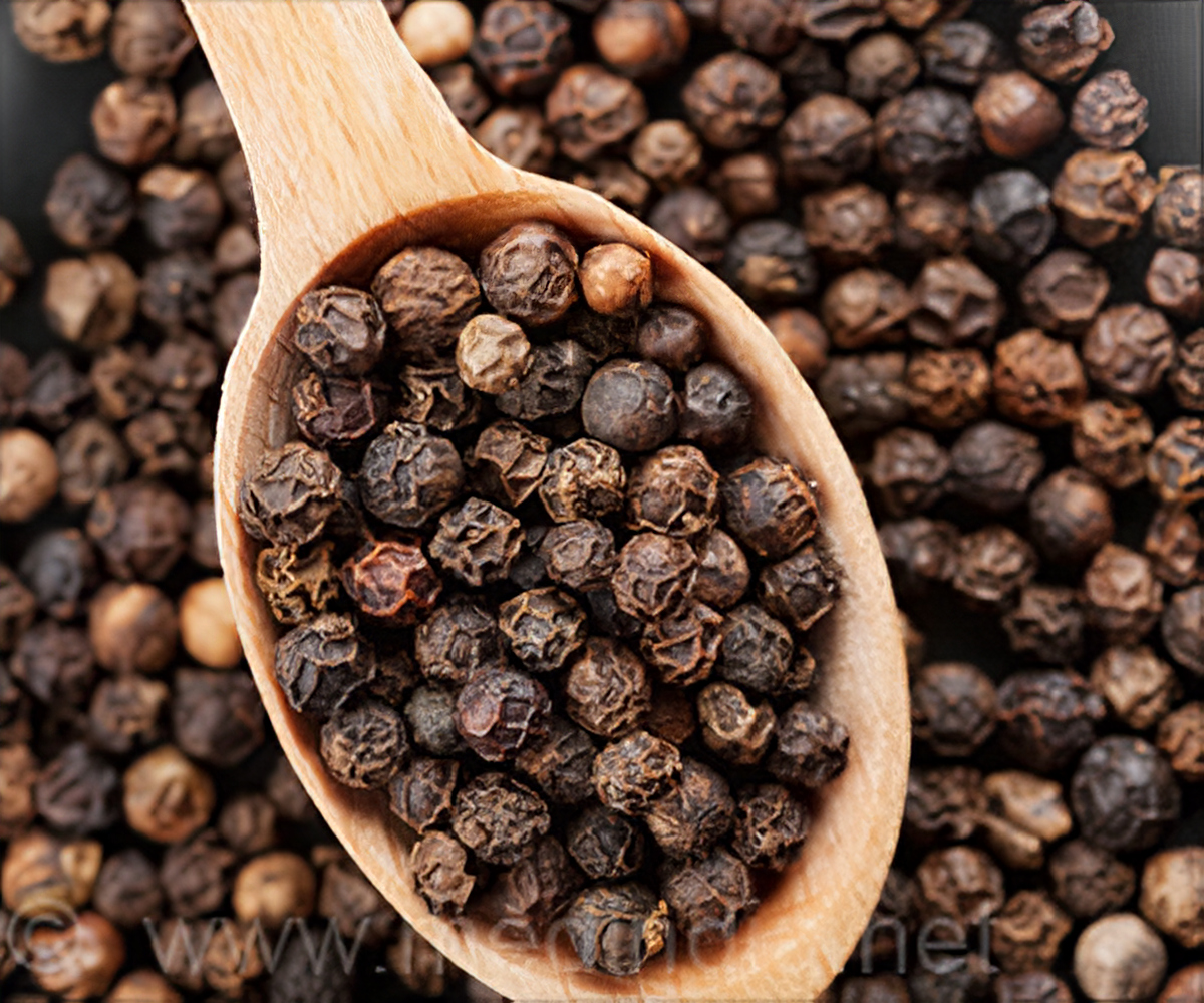 Detail Black Pepper Image Nomer 24