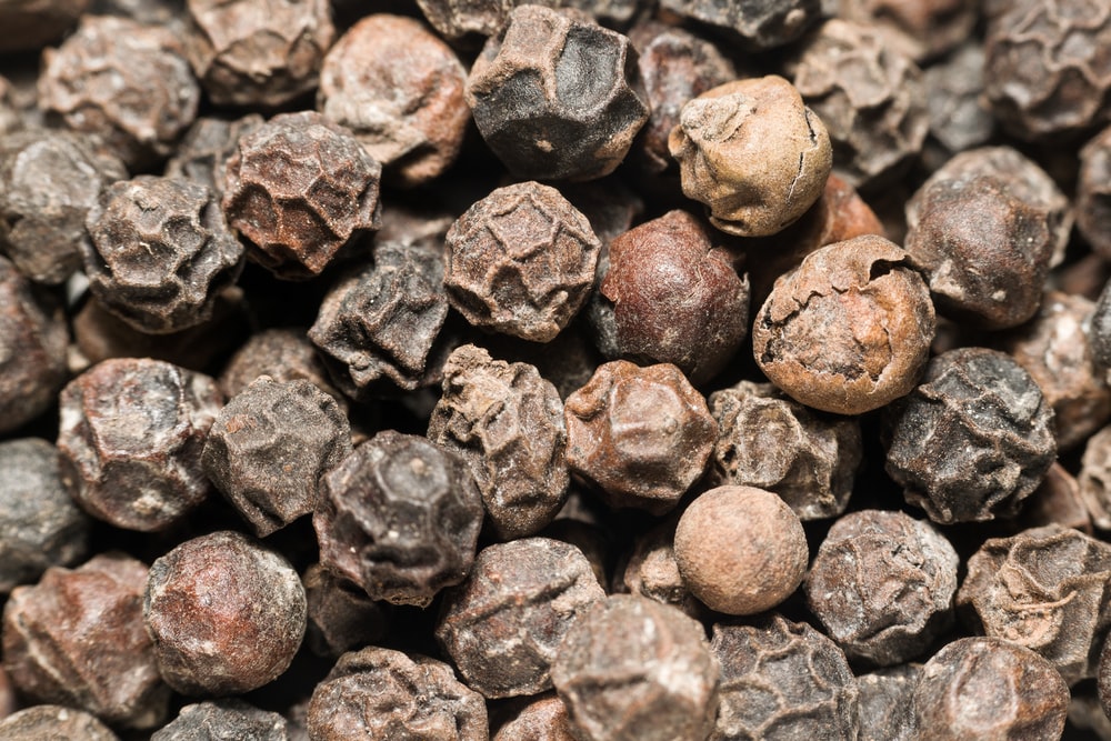 Detail Black Pepper Image Nomer 27