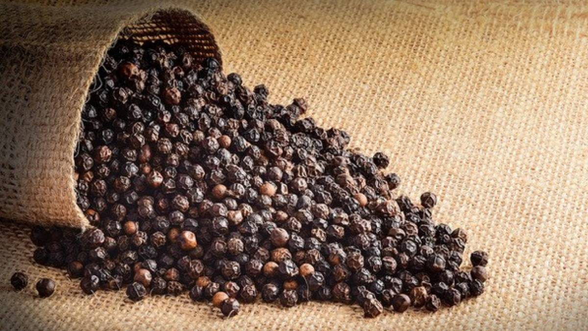Detail Black Pepper Image Nomer 5