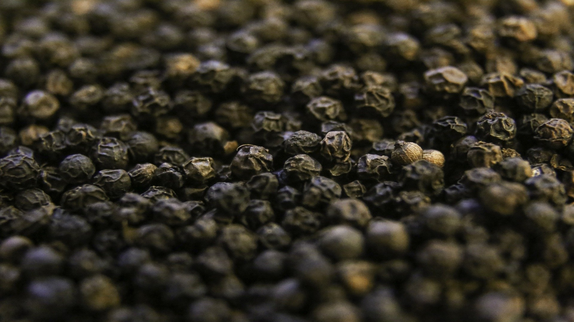 Detail Black Pepper Image Nomer 57