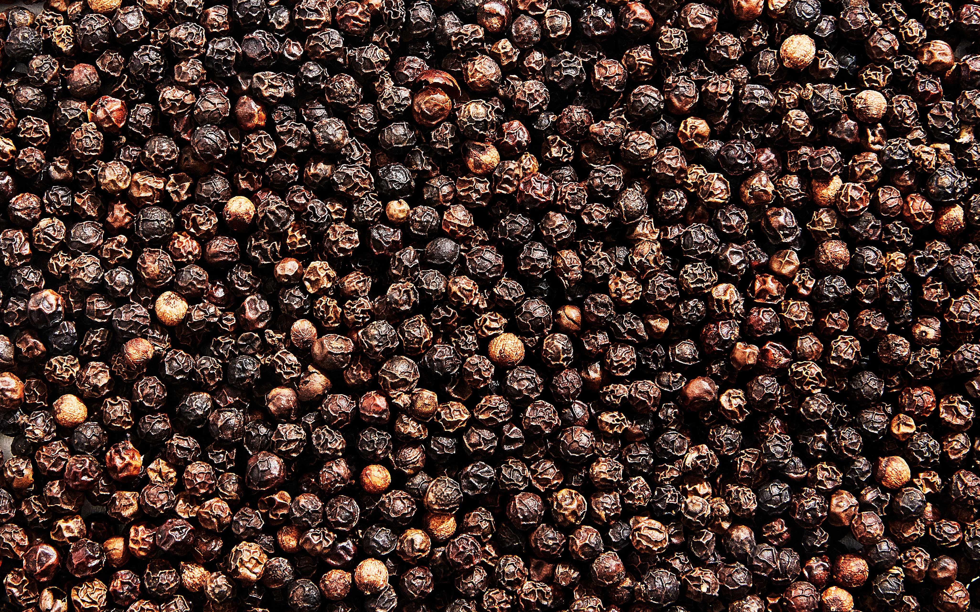 Detail Black Pepper Images Nomer 7