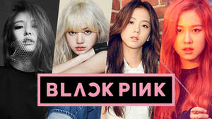 Detail Black Pink Wallpaper Nomer 25