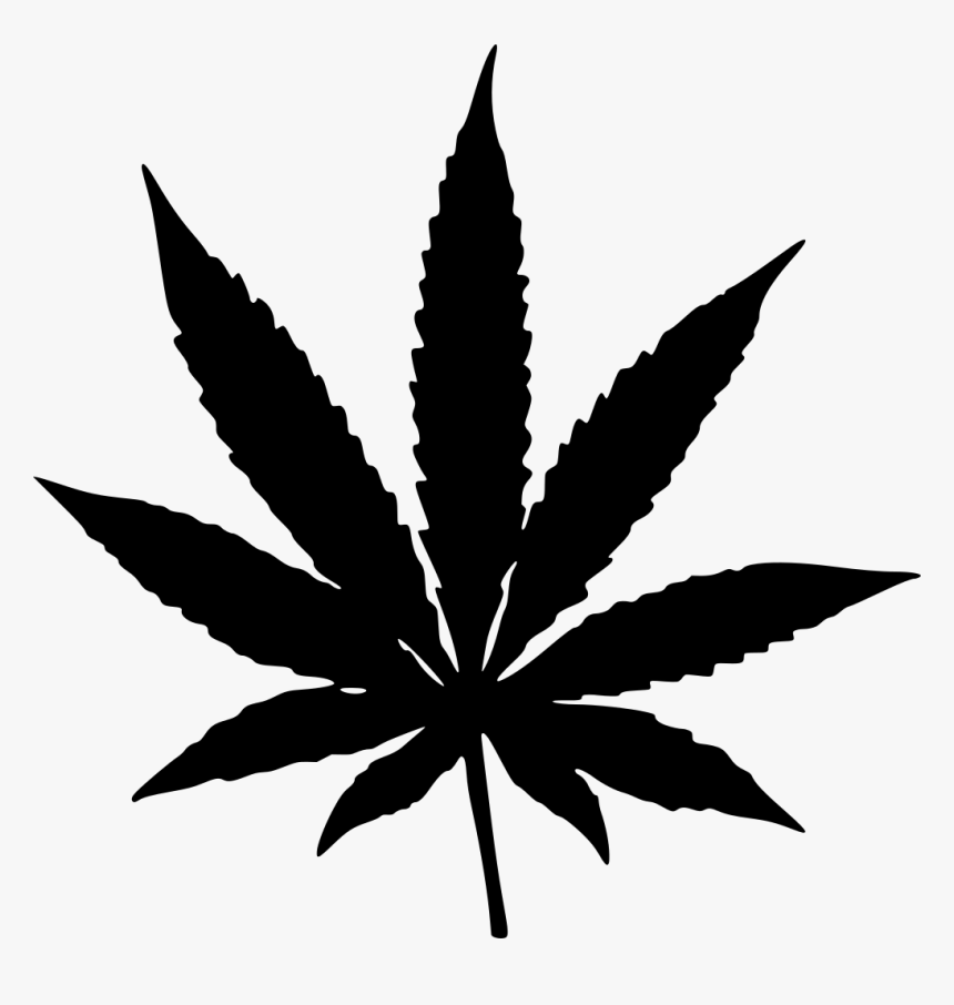 Black Pot Leaf Png - KibrisPDR