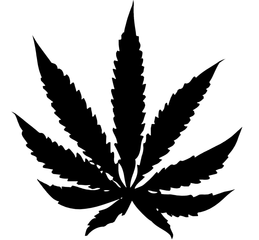 Detail Black Pot Leaf Png Nomer 4