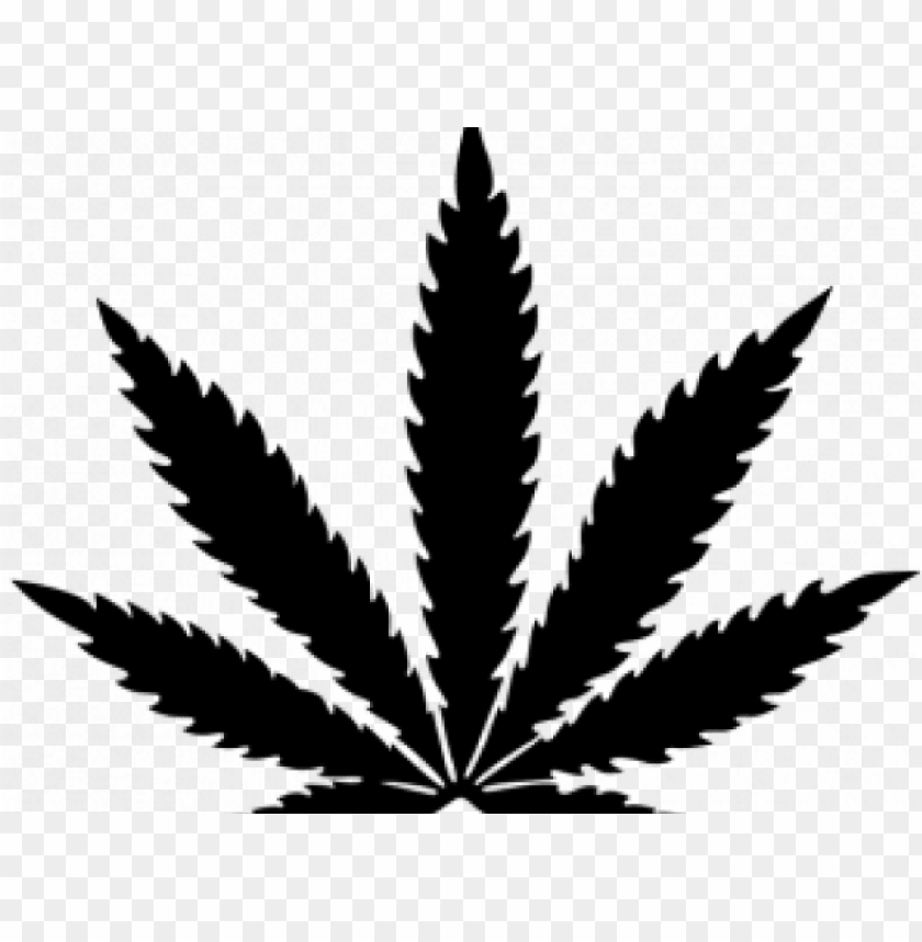 Detail Black Pot Leaf Png Nomer 5
